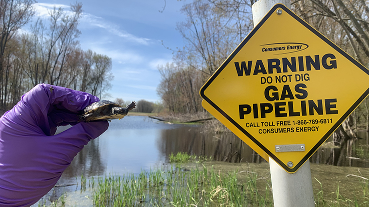 Consumers Energy is committed to protecting the planet